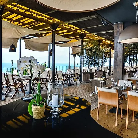 Sea Bay View * Topola